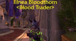 wow-legion-blood-vendor-elfe