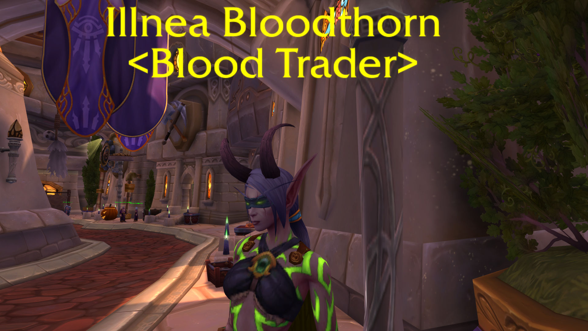 wow-legion-blood-vendor-elfe