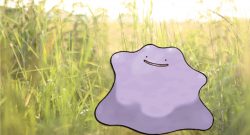 Pokémon GO Ditto