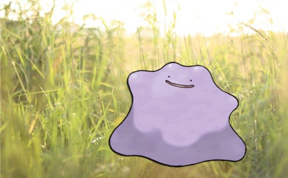 Pokémon GO Ditto
