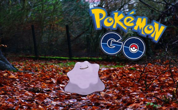 Pokemon DItto Wald Titel Banner