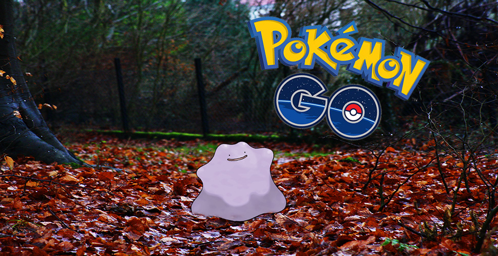 Pokémon GO: Shiny und Ditto – Versteckt im neuen Update 0.47.1.