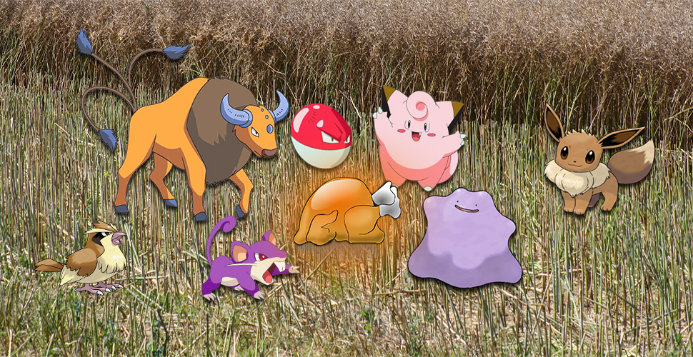 Pokémon GO: Thanksgiving-Event gestartet – So kommt Ihr an 4x XP!