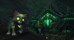 wow-legion-felkitten