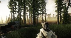 tarkov-woods