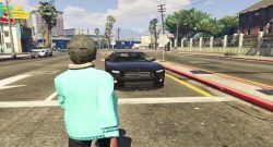 GTA 5 NPC Stream Screenshot