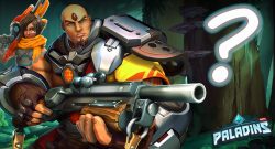 Was ist Paladins