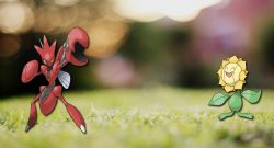 Pokemon GO Scherox Sonnflora TItel