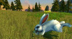 WoW Kaninchen Killer