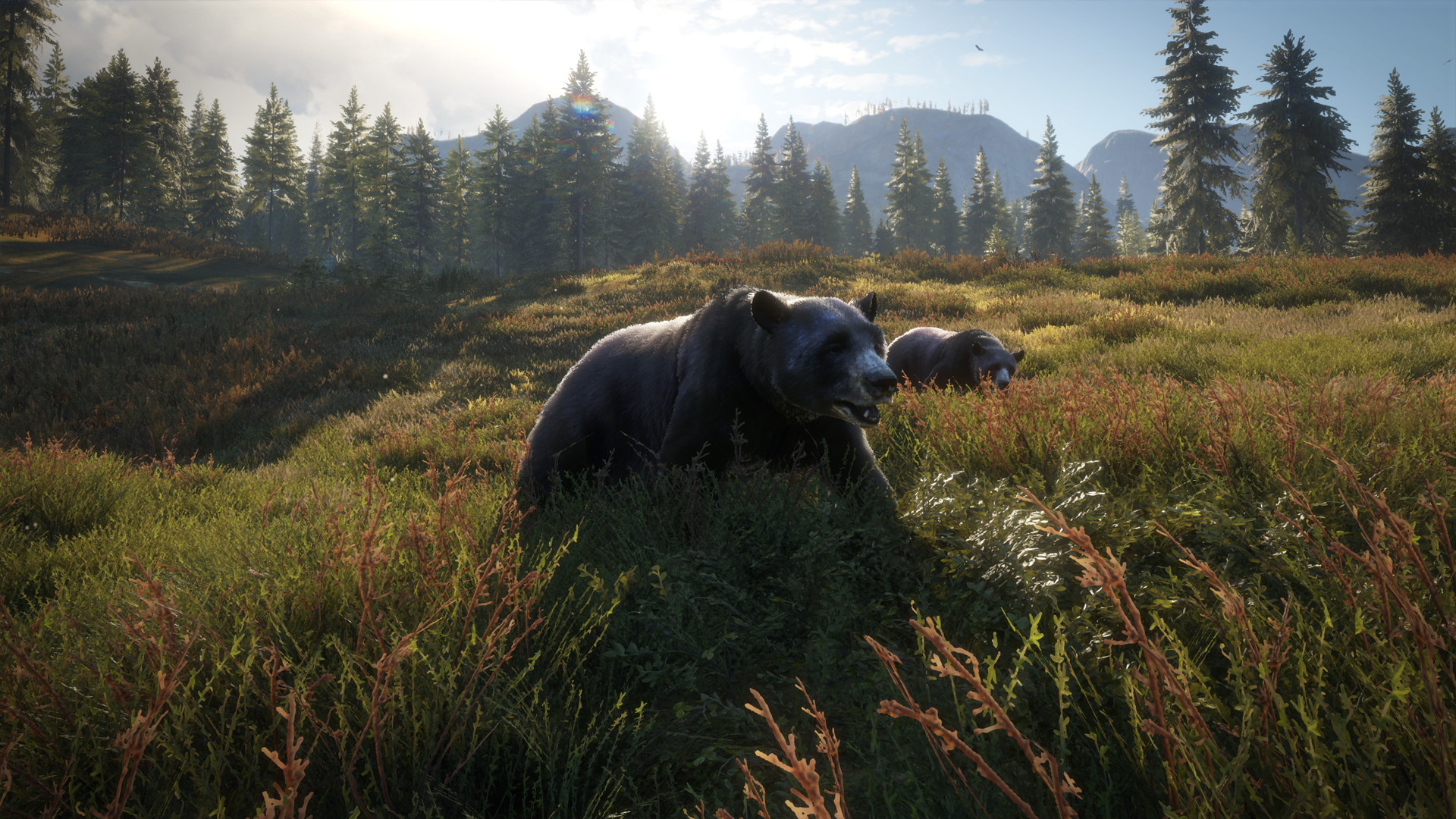 The Hunter - Call of the Wild: Coop-Jagdsimulator für PS4 ...