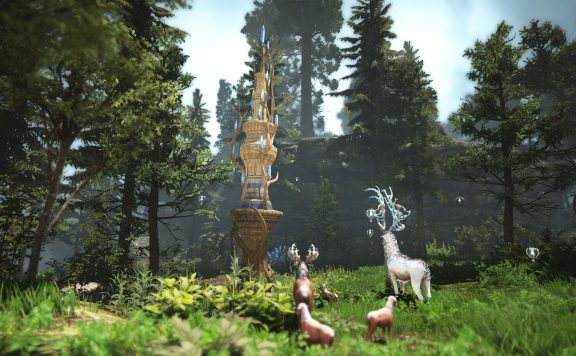 black-desert-kamasilve-11