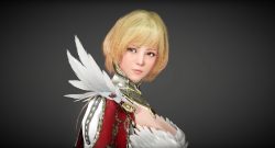 Black-Desert-Mobile-Elfe-Walkuere-01