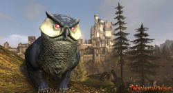 Neverwinter-Eulenbaer-02