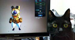 Monster-Hunter-Katze