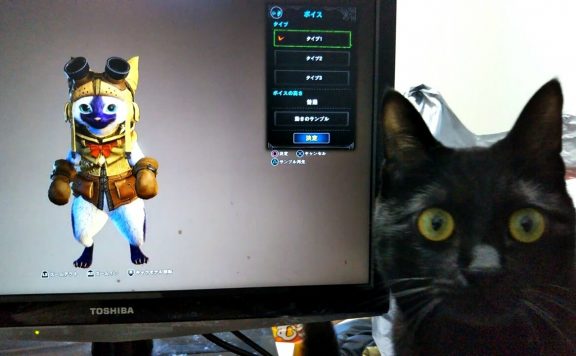 Monster-Hunter-Katze