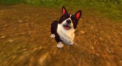 World of Warcraft WoW Sturmwind Botschaft Haustiere Hund