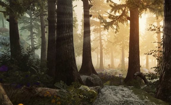 Mavericks Proving Grounds