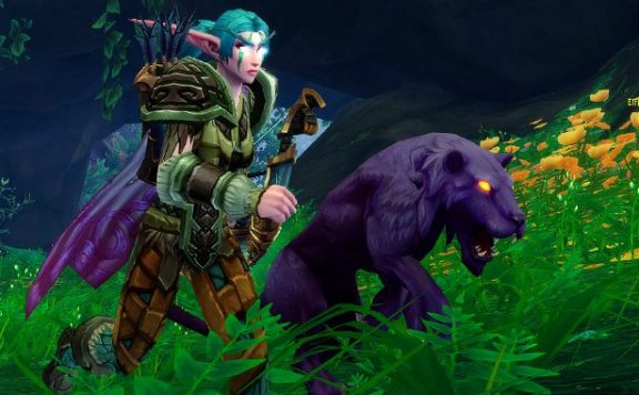 WoW Hunter Pet Night Elf