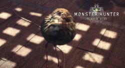 monster-hunter-kraushuhn