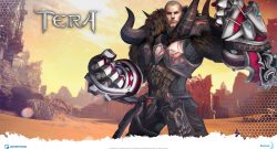 Tera Male Brawler Artwork