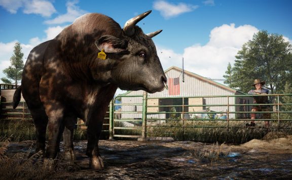 Far Cry 5 Bulle