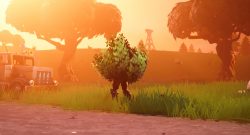 Fortnite-Bush