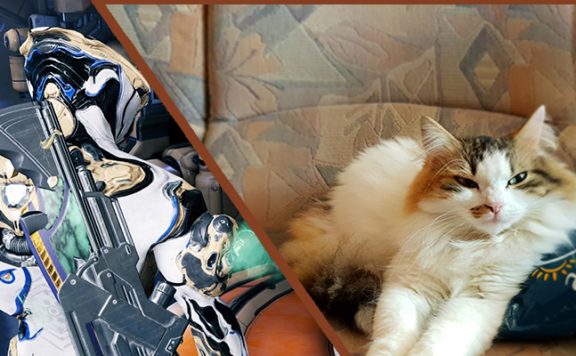 Warframe Kitty Titel