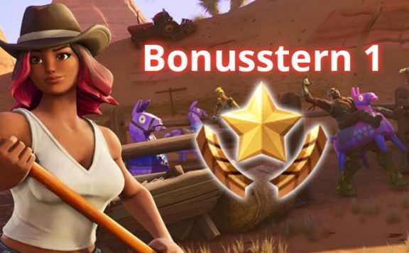 Fortnite Bonusstern2