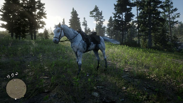 Red Dead Redemption 2 Bestes Pferd