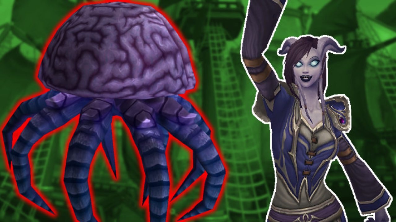 Wow Ratsel Guide So Bekommt Ihr Das Reittier Schwarmbewusstsein