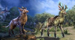 Elder Scrolls Online Indrik 1