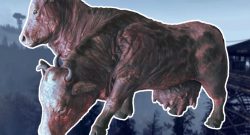 Fallout 76 Brahmin Katapult Titel