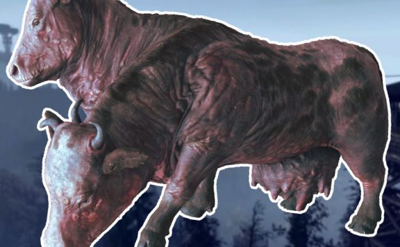 Fallout 76 Brahmin Katapult Titel