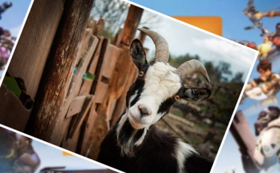 Overwatch LEague Ziegen Titel