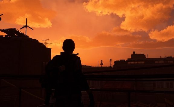 the division 2 sonne