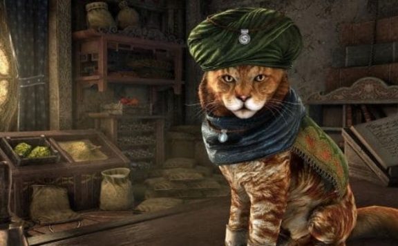eso-alfiq-khajiit-titel-01