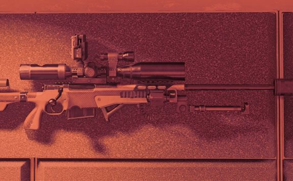 the division 2 nemesis