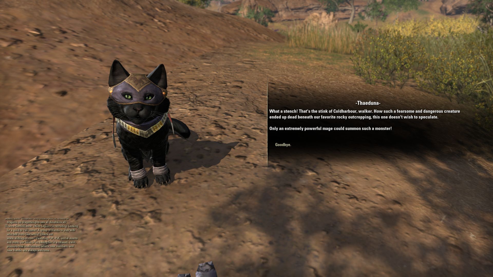 Im MMORPG ESO kaufen Spieler zÃ¼gellos ein Katzen-Pet fÃ¼r 30â‚¬