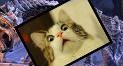 eso-elsweyr-trailer-02