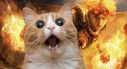 Magic-Gathering-katze-titel