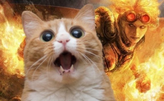 Magic-Gathering-katze-titel
