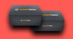 Wootbox 2 für 1