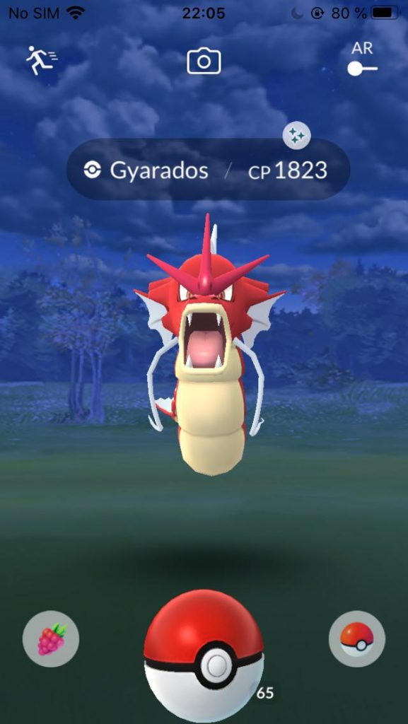 Pokémon GO Shiny Garados Wildnis