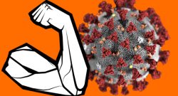 Corona Kampf Bizeps Titel