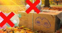 Chaneira weg Quest Feldforschung