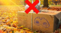 Quests Pokemon GO weg