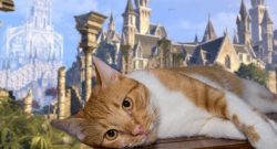 eso gemütlich katze titel 04