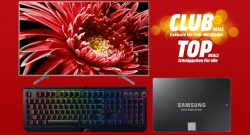 MediaMarkt Club Angebote