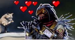 titel doku katze destiny