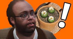 GTA Online Lester Peyote Titel